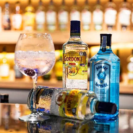 内华达水疗酒店 度假村 费特希耶
