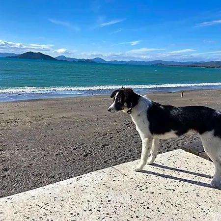 Nevada & Fethiye